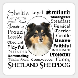 Tri Color Sheltie Traits Magnet